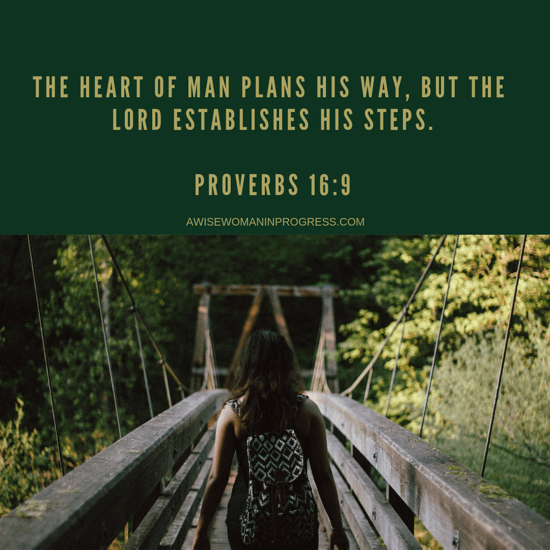 Collect ents, not things