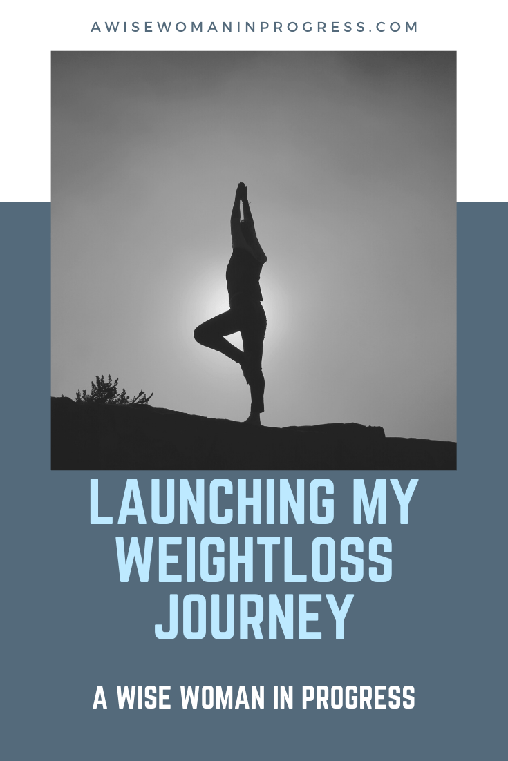 awisewomaninprogress.com